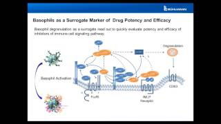 Basophils as Biomarker for Potency and Efficacy of Drugs in Development Flow CAST® [upl. by Yenaffit]