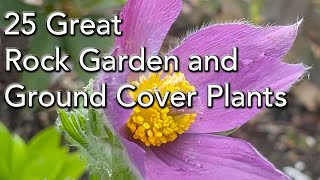 25 Rock Garden Plants  Easy Care Low Growing Plants and Ground Covers [upl. by Onailerua520]