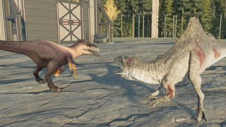 Utahraptor Vs Concavenator  Jurassic World Evolution 2 [upl. by Huang304]