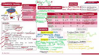 MEDICINA INTERNA  ENDOCRINO PARTE V [upl. by Caroline470]