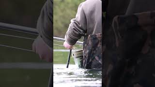 HOW ACCURATE IS YOUR SPOMBING 🎯 dnabaits shorts carping carpfishing fishing [upl. by Ynaffit]