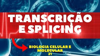 COMO OCORRE A TRANSCRIÇÃO E SPLICING  BIOLOGIA CELULAR E MOLECULAR  AULA 21 [upl. by Ehsrop]