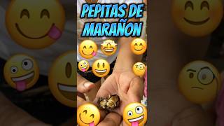 Pep¡tas de marañon colombia casosdelavidareal shortsviral casosdelavida mexico colombia [upl. by Jabin458]