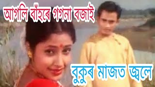 Assamese Old Song By Udit Narayan  Bukur Majot Jole [upl. by Ahsekim]