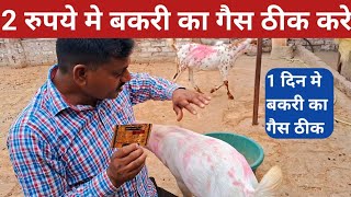 2 रुपये मे बकरी का गैस ठीक करे  bakri ki gas ka ilaj  bakri ke gas ka ilaj kaise karebakripalan [upl. by Aneem]