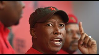 Julius Malema  Signal Gqom Edition [upl. by Aivirt]