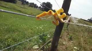 Poly Wire Portable Fencing Trick [upl. by Nessy]