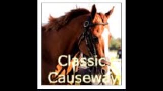 Classic Causeway All Starts in 8 Min [upl. by Kancler769]