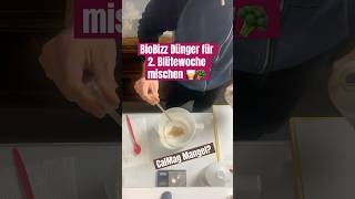 BioBizz Blütedünger mischen 🥃🥦 grow brokkoli dünger düngen tips plants gardening organic [upl. by Sabah534]