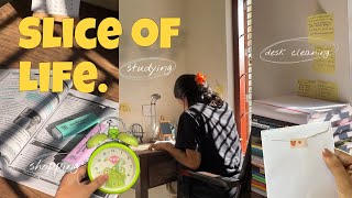 Vlog  11  Slice of life  Malayalam vlog  studying  shopping [upl. by Timothee]