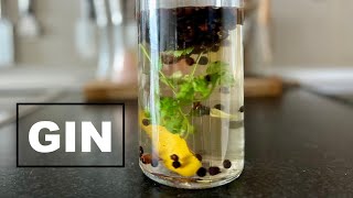 Homemade GIN by infusion in Only 36 hours [upl. by Sitarski]