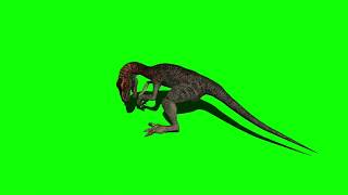 Green Screen Velociraptor 4  Raptor attacking  eating [upl. by Wrdna491]