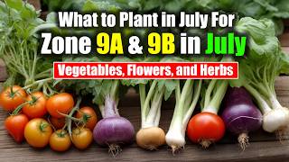 What to Plant in July For Zone 9a amp 9b  Vegetables Flowers and Herbs [upl. by Airun]