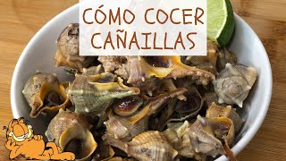 Cómo Cocer Cañaillas 🤤 ¡CARACOLES DE MAR [upl. by Cookie154]