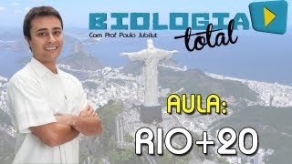 Rio20  Prof Paulo Jubilut [upl. by Ycam]