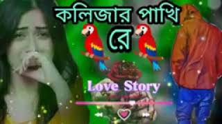 kolojar pakhi re new ringtone video tm sk babu official [upl. by Eiramave]