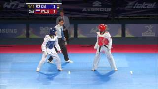 2013 WTF World Taekwondo Championships Final  Female 46kg [upl. by Steen]