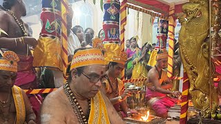 Ealing Amman Temple Maha Kumbhabhishekam Evening Initiation Ceremony29052023Part 2 [upl. by Leunad]