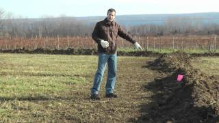 Installing Drain Tile in Vineyards [upl. by Anallese582]