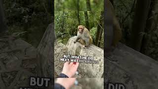 This monkey did something so unexpected 😂 [upl. by Lange]