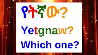 How To Say quotWhich Onequot In AmharicAmharic Phrases For BeginnersአማርኛእንግሊዝኛAmharic LessonAmharic [upl. by Hewitt218]