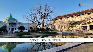 Tokyo National Museum [upl. by Ellehcsar156]