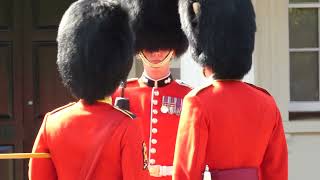 Nijmegen Company Grenadier Guards [upl. by Nihhi]