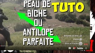 TUTO PEAU DE BICHE ANTILOPE 3 ETOILES PARFAITE  RED DEAD REDEMPTION 2 [upl. by Sutherlan200]