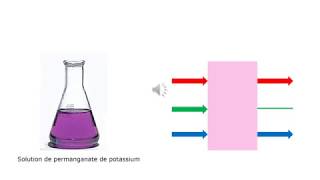 1S Principe de fonctionnement du spectrophotomètre [upl. by Mccartan]