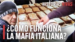 Los secretos de la mafia calabresa la más poderosa de Italia  Historias Vivas Documental [upl. by Vitkun]