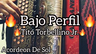 Bajo PerfilAcordeon De SolFacil [upl. by Llednohs487]