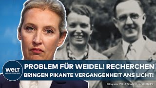 ALICE WEIDEL Recherchen bringen Familiengeschichte ans Licht Großvater war ranghoher Nazi [upl. by Merry]