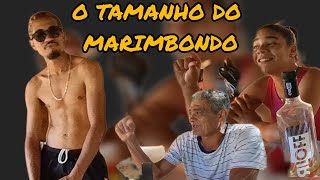 quotPOCRIAÇÃOquot DE MARIMBONDO INSEMINADO Simplescampo comedia viralvideo [upl. by Maiocco29]