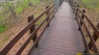 Pisgah Marsh Boardwalk [upl. by Iduj]