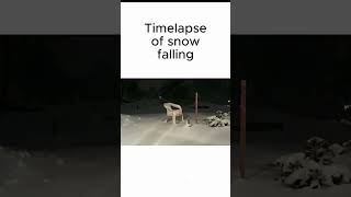 Timelapse of snow falling [upl. by Kenzi835]