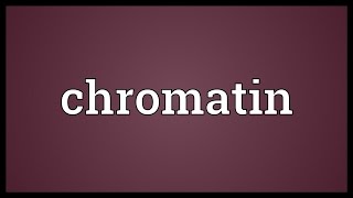 Chromatin Meaning [upl. by Drhcir]