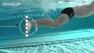 Get Speedo Fit  Brasse  Mouvements des jambes [upl. by Ellehcan]