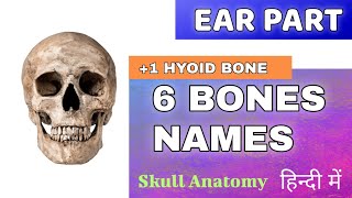 6 EAR BONES NAME in Hindi  incus Stapes  Malleus Bone  29 SKULL BONES names [upl. by Ydollem]