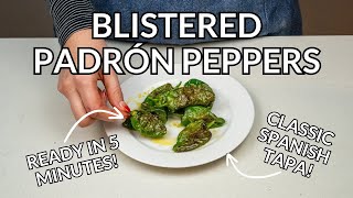 Blistered Spanish Padrón Peppers Easy Tapas Recipe [upl. by Heisser]