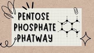 🥸Pentose Phosphate Pathway regulation Secrets Unlocked👍🏻Lecture4 UsmlePlab [upl. by Leckie449]