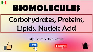 Biomolecules  Classification of Biomolecules  Carbohydrates Proteins Lipids and Nucleic Acids [upl. by Gnouv]