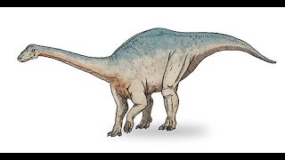 Riojasaurus  Enciclopedia sobre Dinosaurios [upl. by Nnaer253]