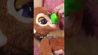 FurReal Has a New Pet to Monkey Around With furreal [upl. by Kassia]