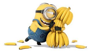 Bananas [upl. by Manvel]