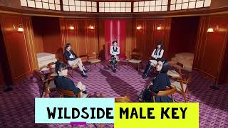 Red Velvet  Wildside Male Version [upl. by Aizahs]