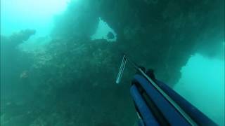 Spearfishing Rottnest Island [upl. by Mayrim]