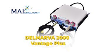 Delmarva 2000 Vantage Plus [upl. by Agripina]