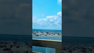 Crab Island 🦀 travel summer florida boat water vacation chill [upl. by Ahsot535]