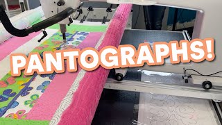 Quilting with Pantographs  StepbyStep Guide for 2024 [upl. by Mast999]