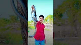 Jai shree Nakhtesh bana🪱🪱 ll Ramesh bungdi kobra ressq shortvideo song [upl. by Enilegna]